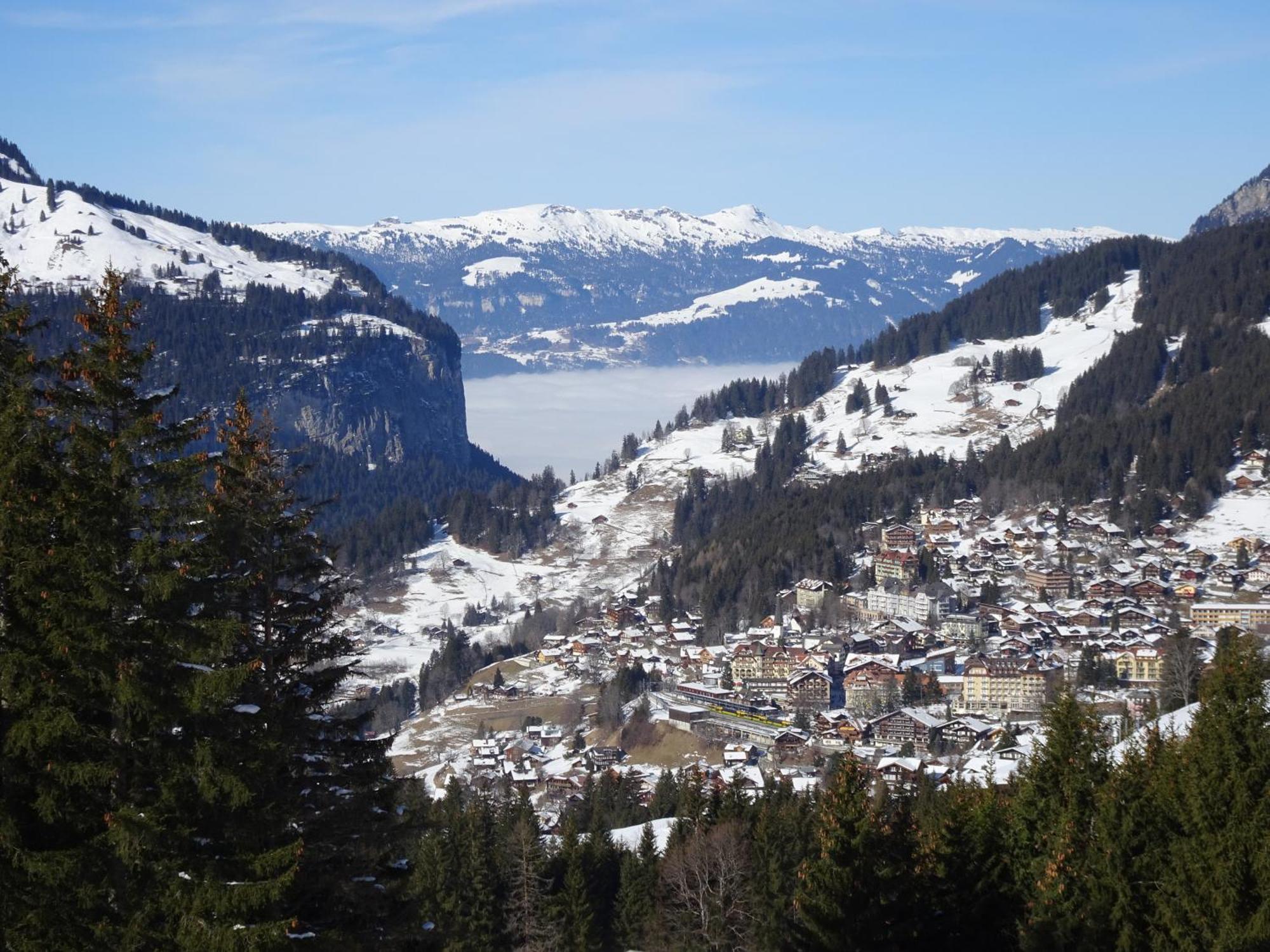Chalet Alpina Gyger Wengen Exterior foto